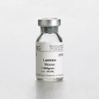 BD	354232	LAMININ MOUSE NATURAL  1MG DI