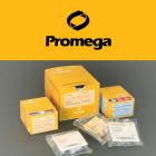 Promega.A1360	pGEM®-T Easy Vector System I	20 reactions