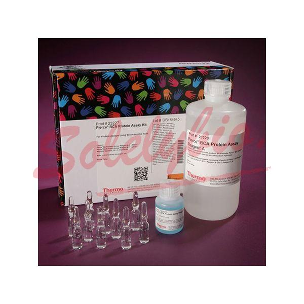 Invitrogen 23227 Pierce™ BCA Protein Assay Kit 500 mL_Invitrogen