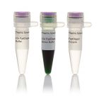 thermofis	FD0434	FastDigest ScaI  100 reactions