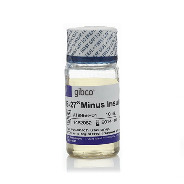 Thermo.A1895601	Gibco™ B-27™ Supplement, minus insulin	10ml