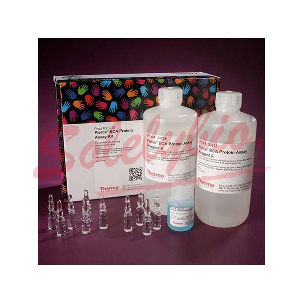 Invitrogen 23225 Pierce BCA Protein Assay Kit 1L_Invitrogen