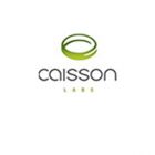 caisson labs