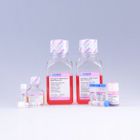 赛业.FBSSR-01021-500	OriCell®优级胎牛血清	500ml