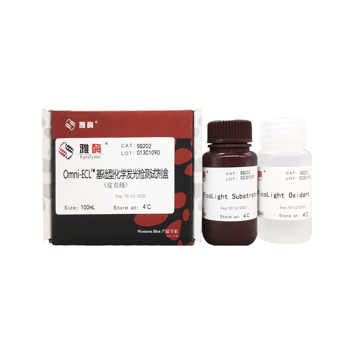 雅酶.SQ202-100ml	     Omni-ECL  基础型化学发光检测试剂盒（皮克级）	100mL