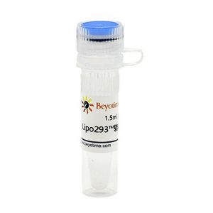 碧云天.c0521-1.5ml  	Lipo293™转染试剂	