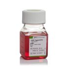 Invitrogen 25300-054 Trypsin-EDTA (0.05%), phenol red 100 mL