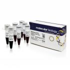 Invitrogen.SM0313   GeneRuler 1 kb DNA Ladder, ready-to-use   5 x 50 µg