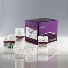 天根	KT201-02 	2×Taq PCR Mastermix     5×1ml(含染料，蓝色)