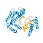 Millipore.LIF1050	Recombinant Human LIF (50ug)	50ug