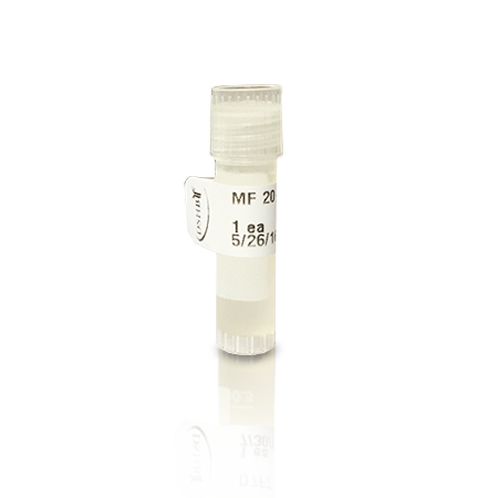 DSHB	MF 20-s	Supernatant	1.0 mL