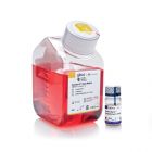 Thermo.A1517001	Gibco.Essential 8™ Medium	500ml