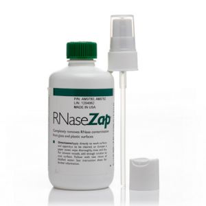 Invitrogen AM9780，RNaseZap® RNase Decontamination Solution，规格：250ml，室温保存