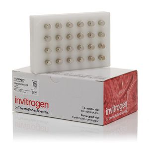 Thermo.AM10027	 Magnetic Stand-96   1 each