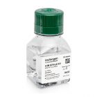 Thermo.AM9260G	EDTA (0.5 M), pH 8.0	100 ml