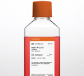 corning.10-080-cv	ham‘s f12 medium	500ml
