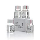 Invitrogen.15575020     UltraPure™ 0.5M EDTA, pH 8.0   4 x 100 mL