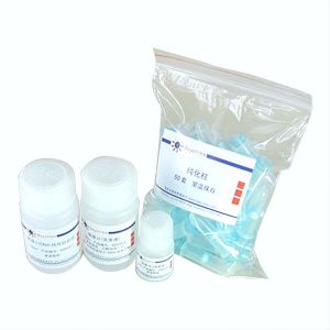 碧云天.D0033  	DNA纯化试剂盒  50次 