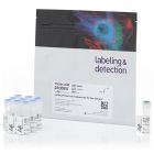 Invitrogen.C34557	CellTrace™ Violet Cell Proliferation Kit, for flow cytometry	180 assays