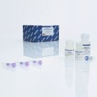 qiagen.28604	MinElute Gel Extraction Kit (50)	50次