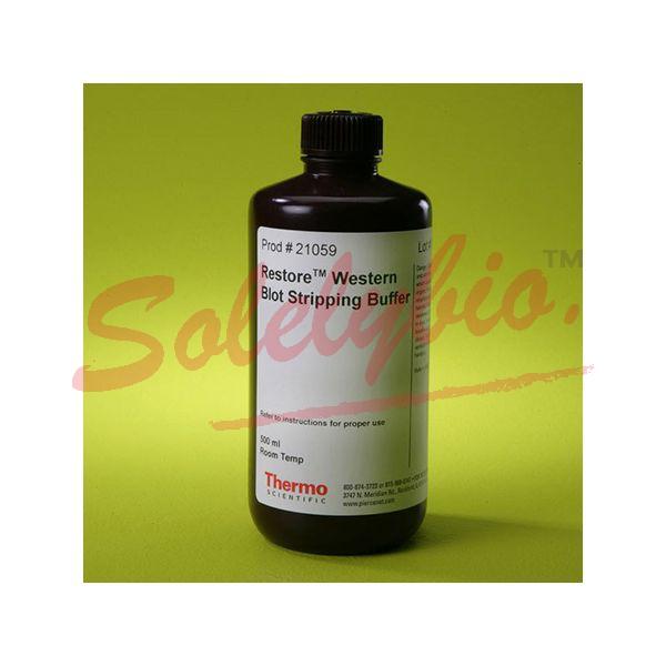 ThermoFisher 21059 Restore™ Western Blot Stripping Buffer 500 mL_Thermo