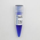 生工.B600303-0100 	DNA 分子量标准Marker A (25~500 bp)	100 PREPS