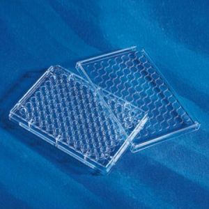 Corning 3599，96孔细胞培养板，透明，TC表面，1个/包，100包/箱