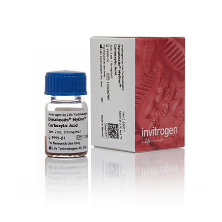 Thermo.65011 	Dynabeads MyOne Carboxylic Acid	 2ml 