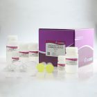 天根.MD103-1	DNA Marker 3	50次