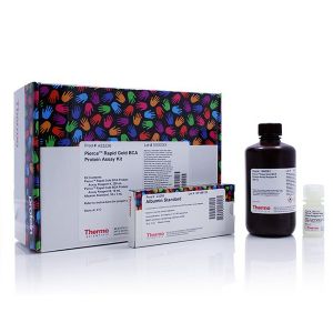 Thermo.A53226	Pierce™ Rapid Gold BCA Protein Assay Kit	250ml