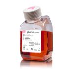 Invitrogen	12561-056	MEM α, no Nucleosides	500 mL