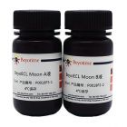 碧云天.P0018FS	 BeyoECL Moon (极超敏ECL化学发光试剂盒) 	 