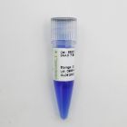 生工.B500331-0050	  DNA 分子量标准Marker B (100~600 bp)	50 PREPS