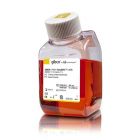 Invitrogen 	10565018	DMEM/F-12, GlutaMAX™ supplement	500ml