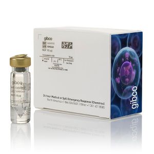 Gibco.13257019	NGF 2.5S Native Mouse Protein	10 µg