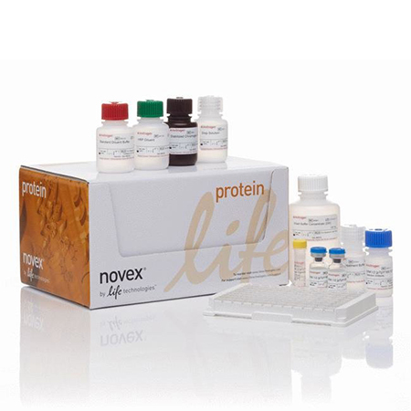 Invitrogen	KHB3441  	BETA AMYLOID 42 ELISA KIT	96 tests
