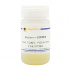 碧云天.P0023A-500ml	Western一抗稀释液  500ml