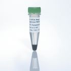 Qiagen	36111	Ni-NTA Magnetic Agarose Beads (2 x 1 ml)