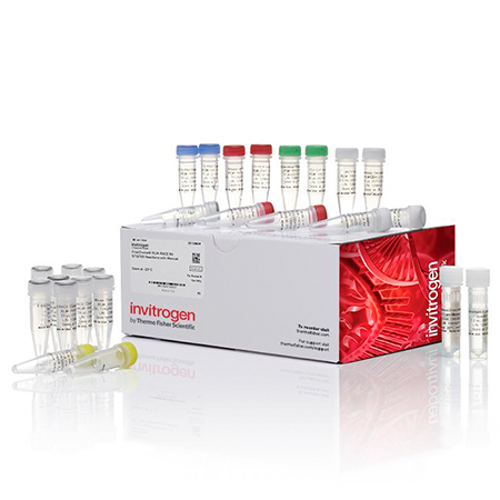 Invitrogen	  AM1700  	FirstChoice™ RLM-RACE Kit	1 kit