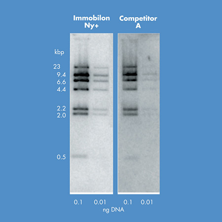 Millipore   	INYC00010 | Immobilon-Ny+ 带正电尼龙卷膜，0.45 µm，30 cm x 3.3 m	