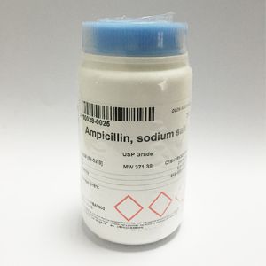 生工	A610028-0025	氨苄青霉素钠	25 G