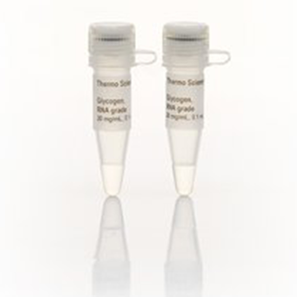 Thermo.26620	PageRuler Plus Prestained Protein Ladder	10 x 250 µL