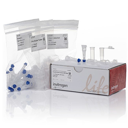 Invitrogen	4484449	Exosome Spin Columns (MW 3000)	30 columns
