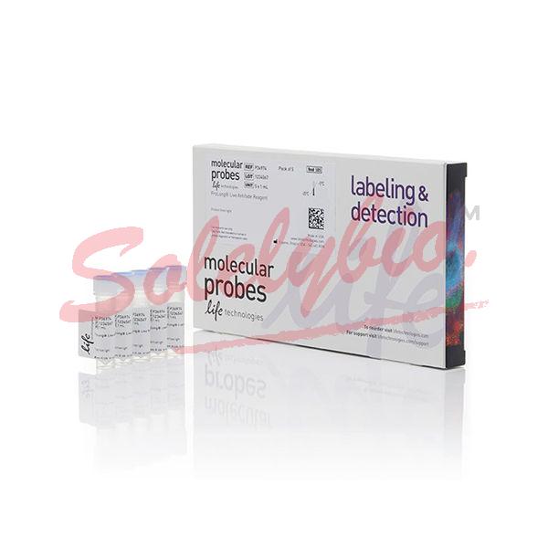 Thermo.P36974 ProLong Live Antifade Reagent, for live cell imaging 5x1mL _Thermo