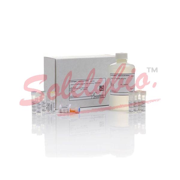Invitrogen Q33120 QuantiT™ dsDNA Assay Kit, high sensitivity 1Kit