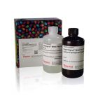 Invitrogen 	34580	SuperSignal™ West Pico PLUS Chemiluminescent Substrate   500 mL