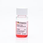 Stemcell.02691	StemSpan™ CD34+ Expansion Supplement (10X)	 10ML