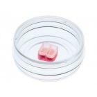 ibidi	80206	wound sealing culture inserts	30个/盒