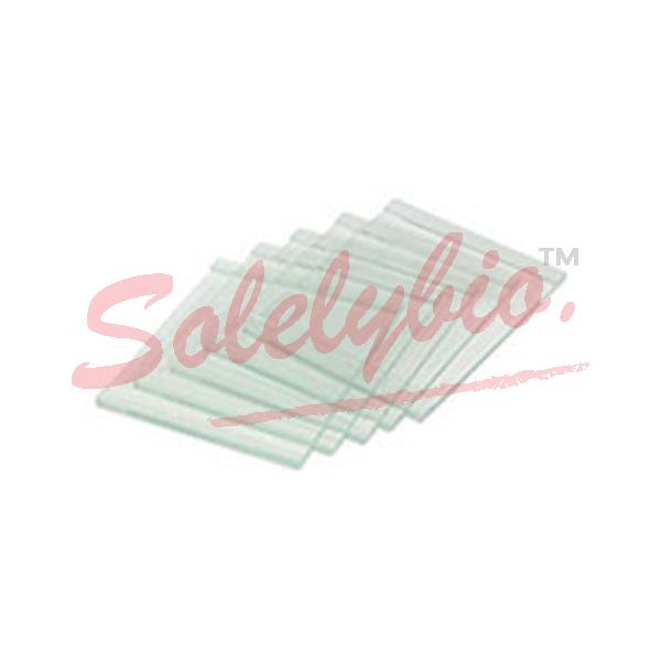 BioRad.1653311 western blot 玻璃板1.0mm厚板_BioRad