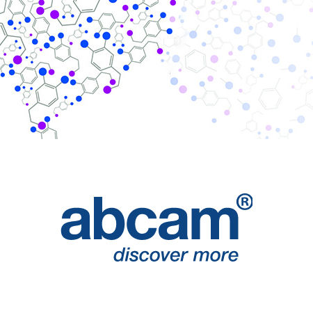Abcam	ab177178	Anti-Histone H3 (acetyl K27) antibody [EP16602] - ChIP Grade	40ul